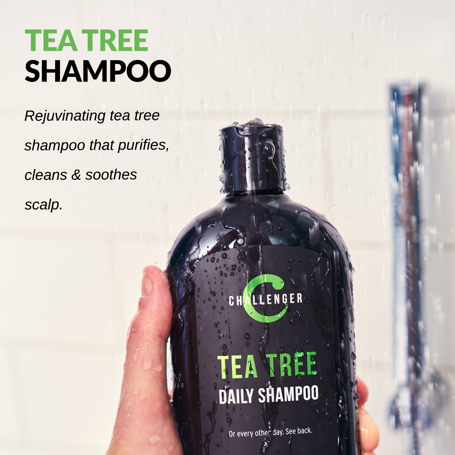 Tea Tree Shampoo, 16 Ounce